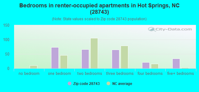Bedrooms in renter-occupied apartments in Hot Springs, NC (28743) 