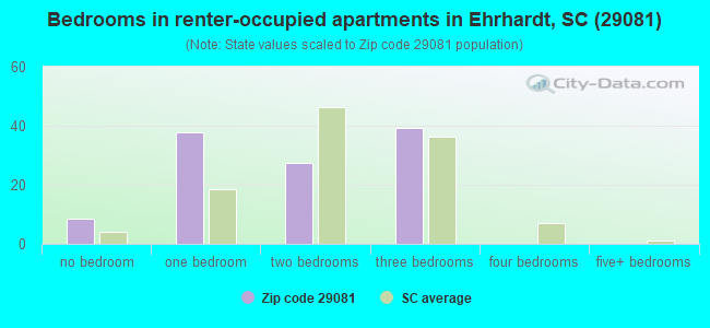 Bedrooms in renter-occupied apartments in Ehrhardt, SC (29081) 