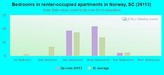 Bedrooms in renter-occupied apartments in Norway, SC (29113) 