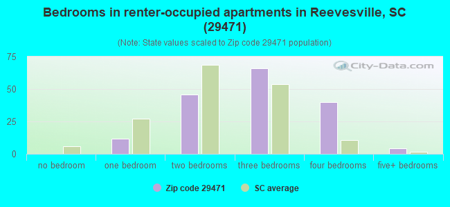 Bedrooms in renter-occupied apartments in Reevesville, SC (29471) 