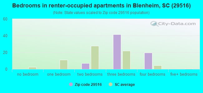 Bedrooms in renter-occupied apartments in Blenheim, SC (29516) 