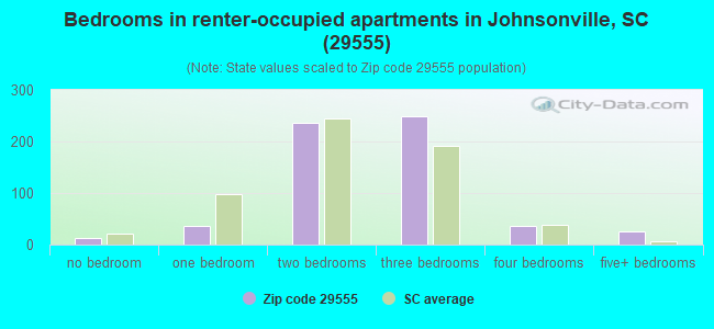 Bedrooms in renter-occupied apartments in Johnsonville, SC (29555) 