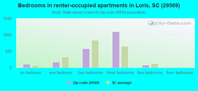 Bedrooms in renter-occupied apartments in Loris, SC (29569) 