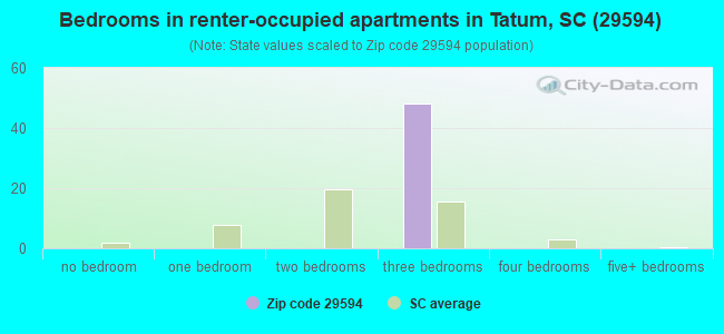 Bedrooms in renter-occupied apartments in Tatum, SC (29594) 