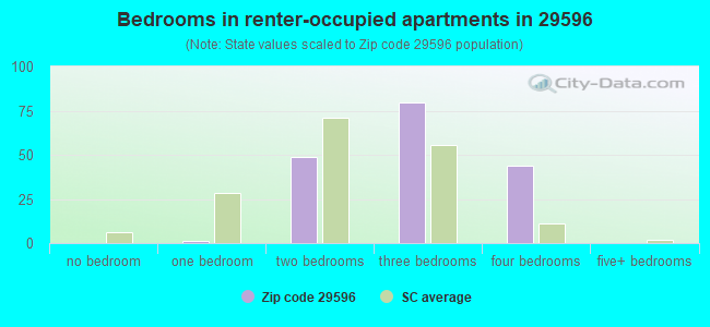 Bedrooms in renter-occupied apartments in 29596 