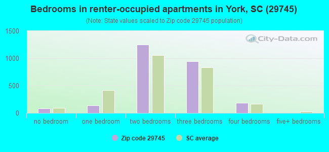 Bedrooms in renter-occupied apartments in York, SC (29745) 