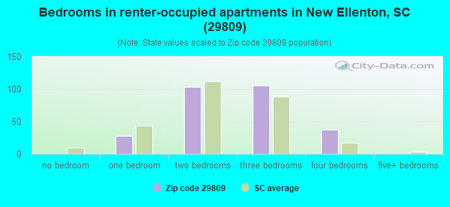 Bedrooms in renter-occupied apartments in New Ellenton, SC (29809) 