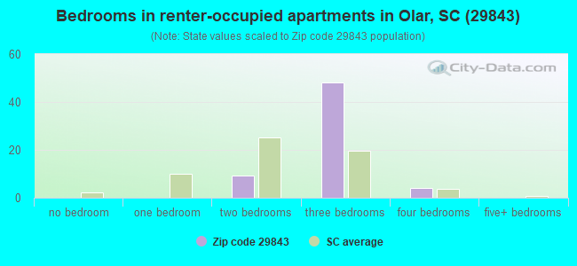 Bedrooms in renter-occupied apartments in Olar, SC (29843) 