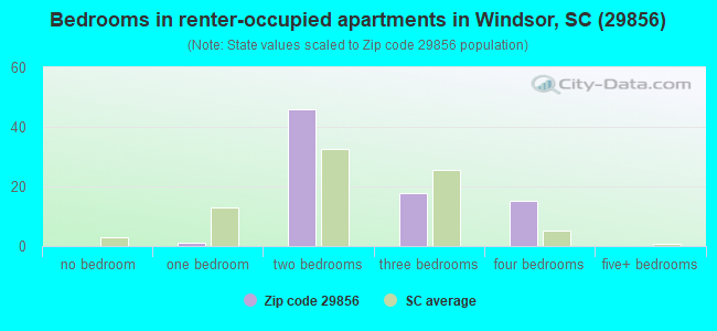 Bedrooms in renter-occupied apartments in Windsor, SC (29856) 