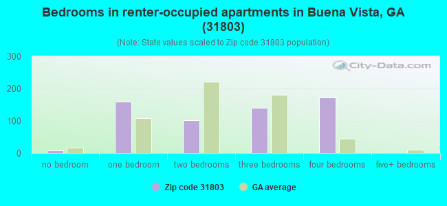 Bedrooms in renter-occupied apartments in Buena Vista, GA (31803) 