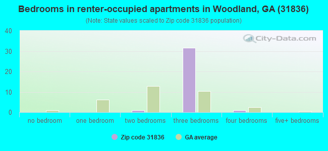 Bedrooms in renter-occupied apartments in Woodland, GA (31836) 