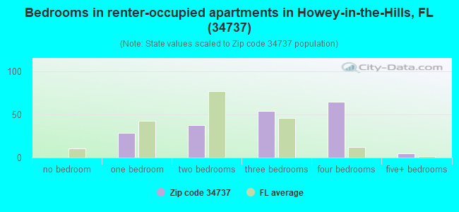 Bedrooms in renter-occupied apartments in Howey-in-the-Hills, FL (34737) 