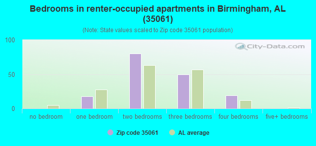 Bedrooms in renter-occupied apartments in Birmingham, AL (35061) 