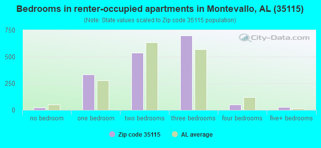 Bedrooms in renter-occupied apartments in Montevallo, AL (35115) 