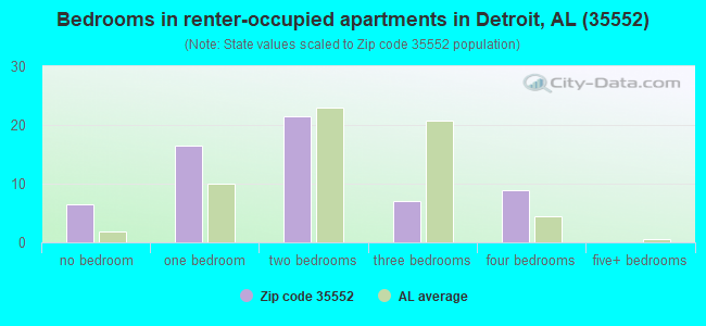 Bedrooms in renter-occupied apartments in Detroit, AL (35552) 