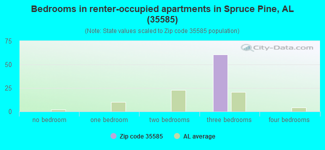 Bedrooms in renter-occupied apartments in Spruce Pine, AL (35585) 