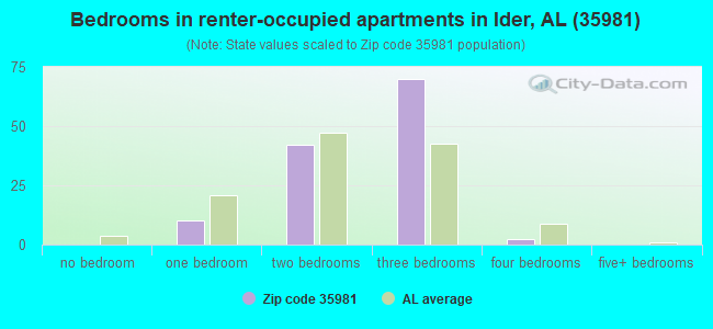 Bedrooms in renter-occupied apartments in Ider, AL (35981) 