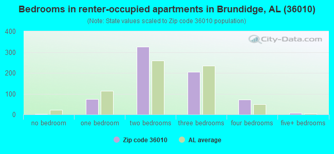 Bedrooms in renter-occupied apartments in Brundidge, AL (36010) 