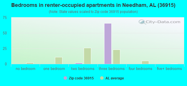 Bedrooms in renter-occupied apartments in Needham, AL (36915) 