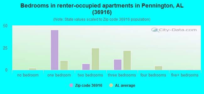 Bedrooms in renter-occupied apartments in Pennington, AL (36916) 