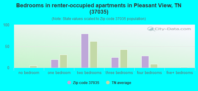 Bedrooms in renter-occupied apartments in Pleasant View, TN (37035) 