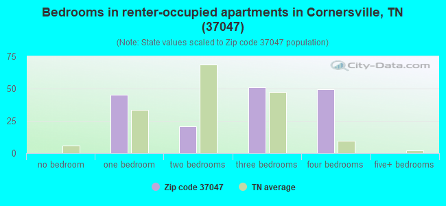 Bedrooms in renter-occupied apartments in Cornersville, TN (37047) 