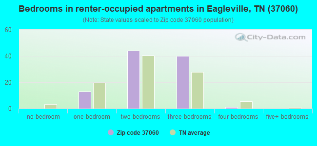 Bedrooms in renter-occupied apartments in Eagleville, TN (37060) 