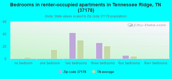 Bedrooms in renter-occupied apartments in Tennessee Ridge, TN (37178) 