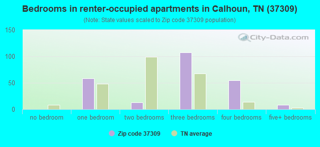 Bedrooms in renter-occupied apartments in Calhoun, TN (37309) 