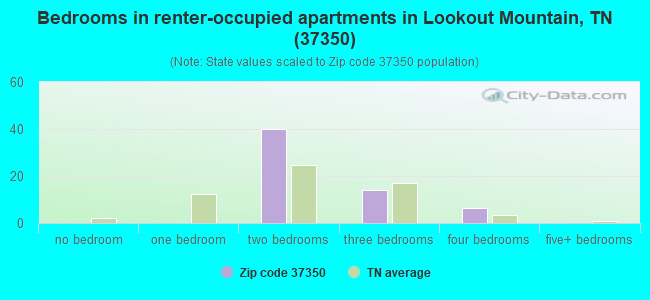 Bedrooms in renter-occupied apartments in Lookout Mountain, TN (37350) 