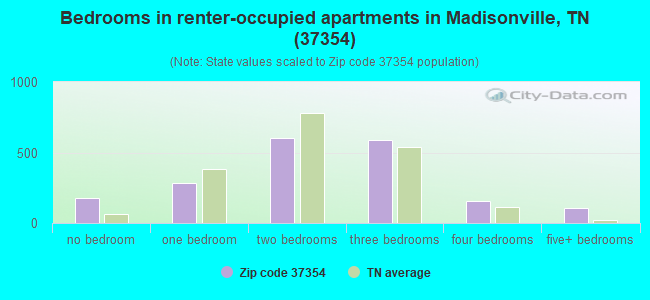 Bedrooms in renter-occupied apartments in Madisonville, TN (37354) 