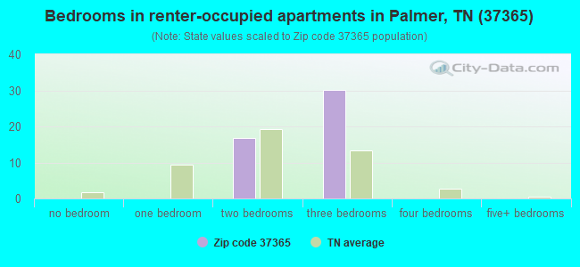 Bedrooms in renter-occupied apartments in Palmer, TN (37365) 