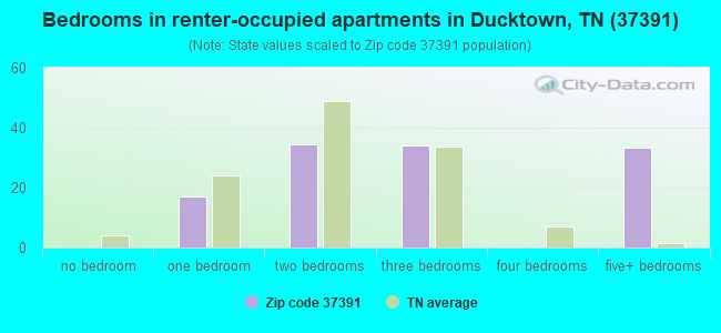 Bedrooms in renter-occupied apartments in Ducktown, TN (37391) 