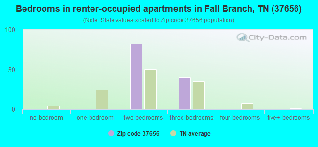 Bedrooms in renter-occupied apartments in Fall Branch, TN (37656) 