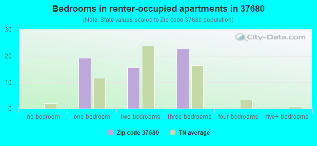 Bedrooms in renter-occupied apartments in 37680 