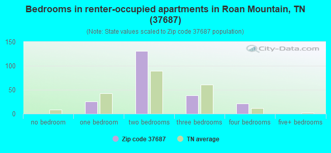 Bedrooms in renter-occupied apartments in Roan Mountain, TN (37687) 