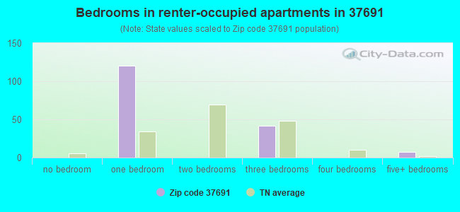 Bedrooms in renter-occupied apartments in 37691 