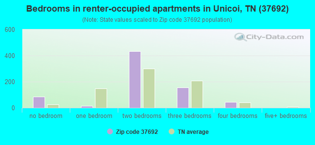 Bedrooms in renter-occupied apartments in Unicoi, TN (37692) 
