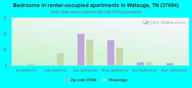 Bedrooms in renter-occupied apartments in Watauga, TN (37694) 