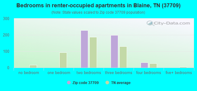 Bedrooms in renter-occupied apartments in Blaine, TN (37709) 