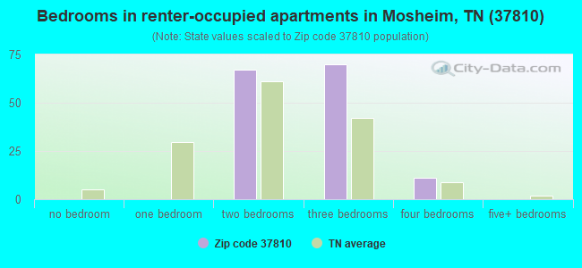 Bedrooms in renter-occupied apartments in Mosheim, TN (37810) 