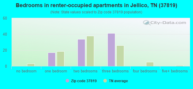 Bedrooms in renter-occupied apartments in Jellico, TN (37819) 