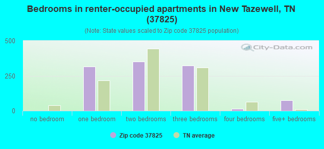 Bedrooms in renter-occupied apartments in New Tazewell, TN (37825) 