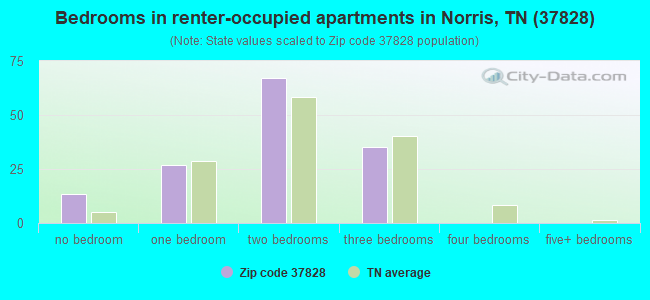 Bedrooms in renter-occupied apartments in Norris, TN (37828) 