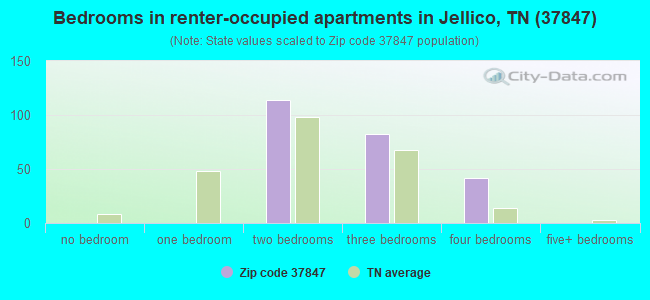 Bedrooms in renter-occupied apartments in Jellico, TN (37847) 