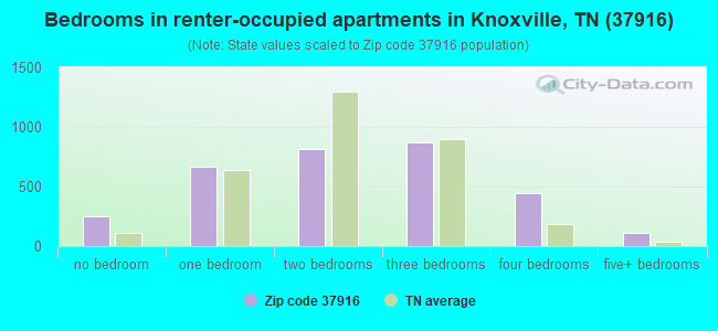 Bedrooms in renter-occupied apartments in Knoxville, TN (37916) 