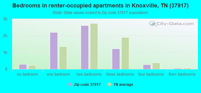 Bedrooms in renter-occupied apartments in Knoxville, TN (37917) 