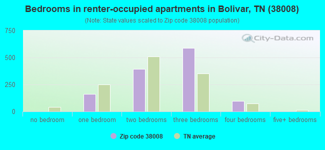 Bedrooms in renter-occupied apartments in Bolivar, TN (38008) 