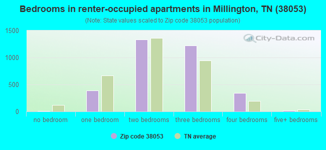 Bedrooms in renter-occupied apartments in Millington, TN (38053) 