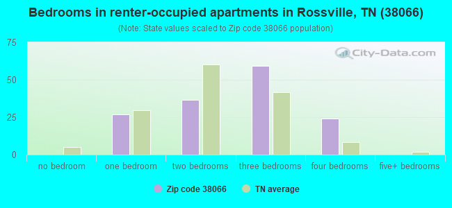 Bedrooms in renter-occupied apartments in Rossville, TN (38066) 